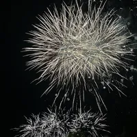 IMG_1019.jpeg