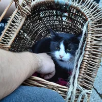 20220313_153015.jpg