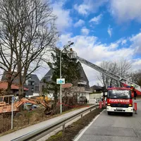 bild_1.jpg