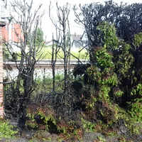 20190621_171054.jpg