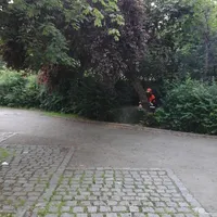 20190701_142847.jpg