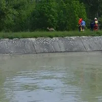 20190526_101419.jpg